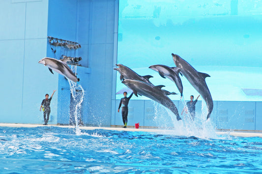 Yokohama Hakkeijima Sea Paradise