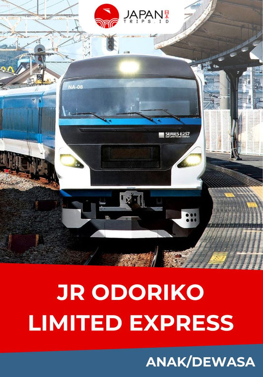 JR Odoriko Limited Express Tokyo – Izukyu Shimoda | One Way Ticket