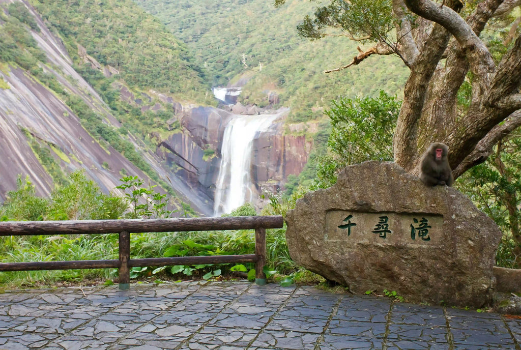 Kagoshima Prefecture