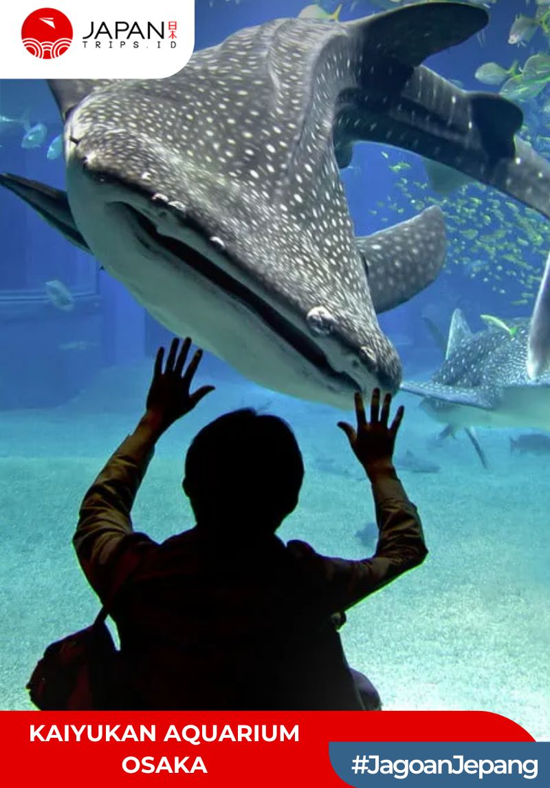 Kaiyukan Aquarium Osaka