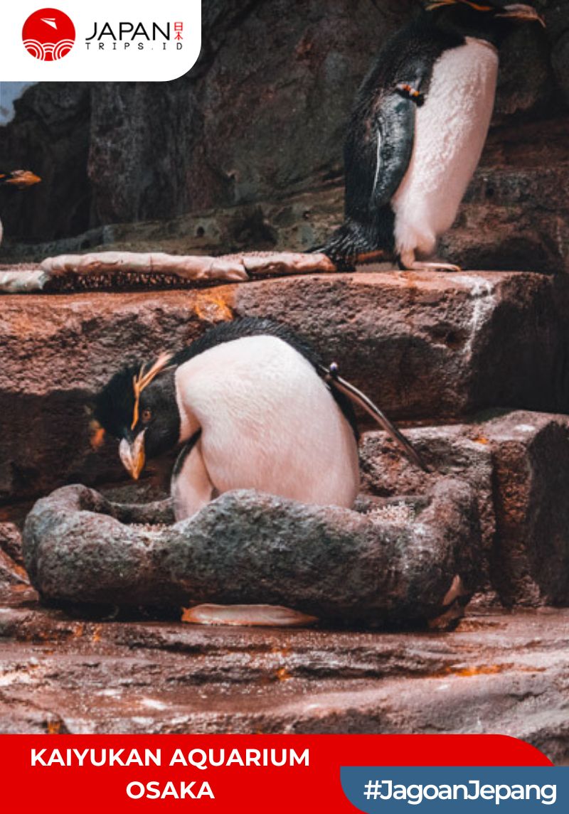 Kaiyukan Aquarium Osaka