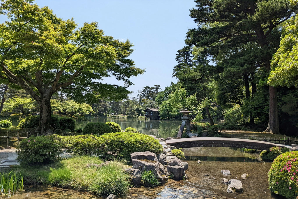 Image Banner
