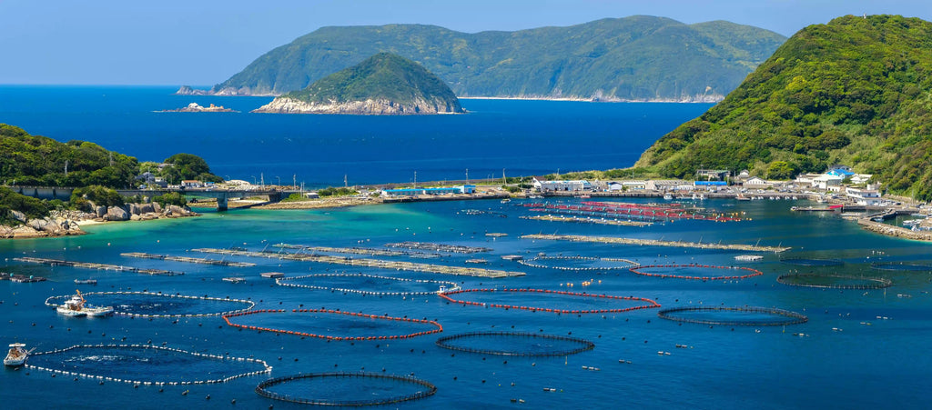 Kochi Prefecture