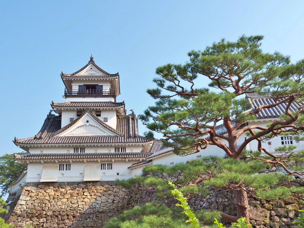 Kochi Castle | Kochi