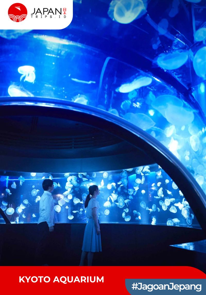 Kyoto Aquarium Admission Ticket | Tiket Kyoto Aquarium