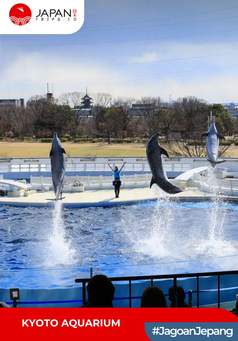 Kyoto Aquarium Admission Ticket | Tiket Kyoto Aquarium