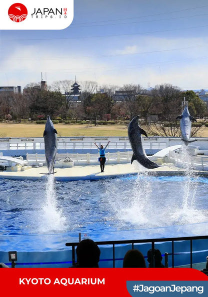 Kyoto Aquarium Admission Ticket | Tiket Kyoto Aquarium