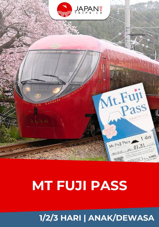 Mt. Fuji Pass | Mt. Fuji View Express