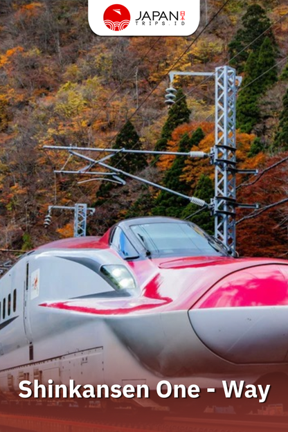 Shinkansen Kodama Kyoto to Mishima