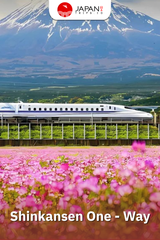 Shinkansen Hikari Mishima to Tokyo