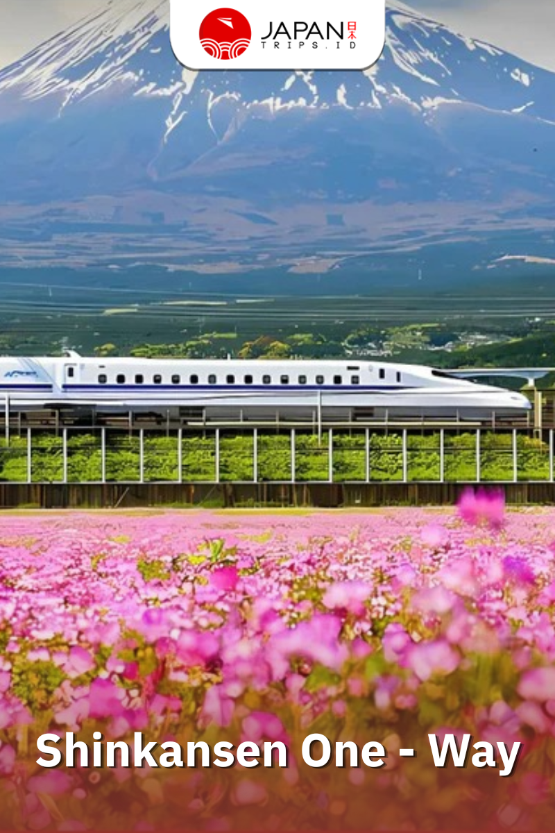 Shinkansen Kodama Kyoto to Mishima