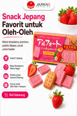 Bourbon Alfort Mini Chocolate Strawberry