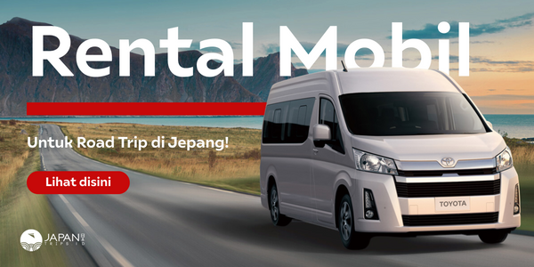 Rental Car Collections