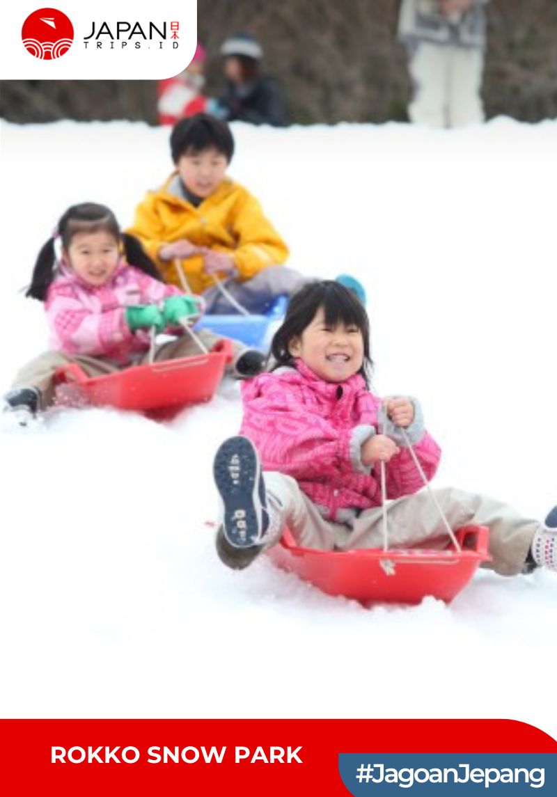 Rokko Snow Park : Snow Sledding & Equipment Rental | Kobe