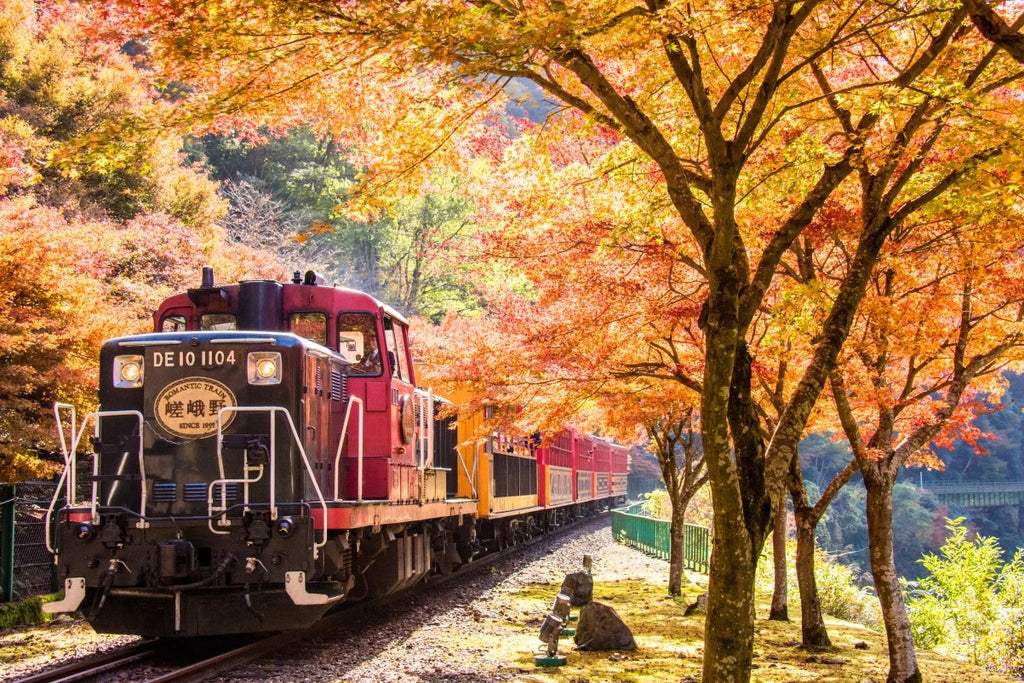 Image Banner