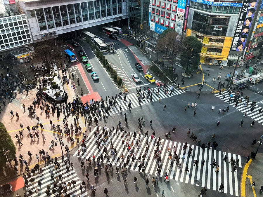 Shibuya Ward Travel Guide