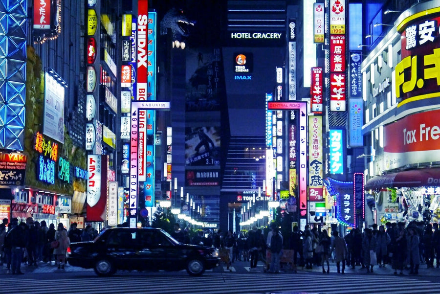 Shinjuku Ward Travel Guide