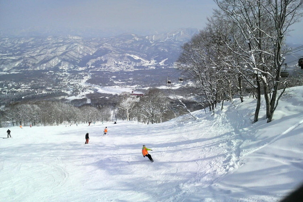 Image Banner