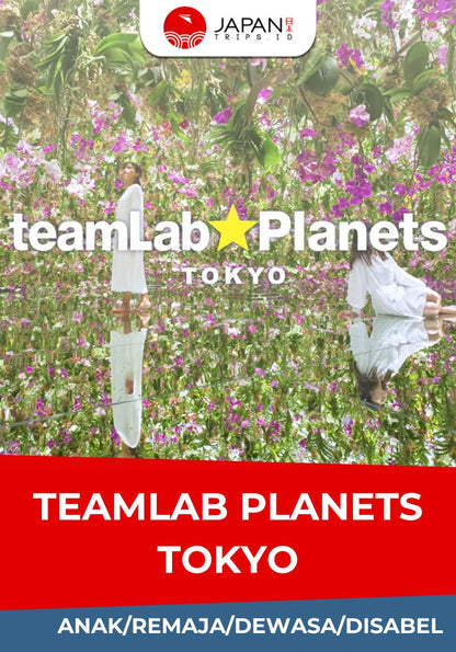 teamLab Planets Tokyo Ticket