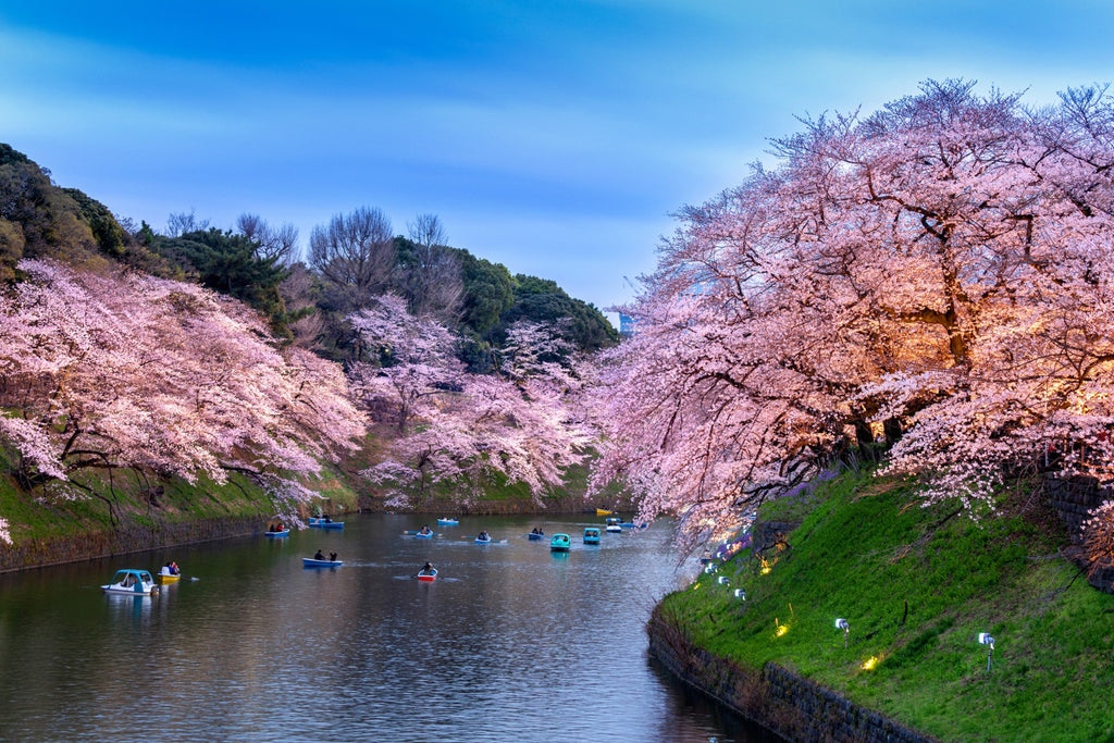 Image Banner