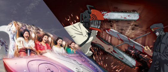 Image Banner