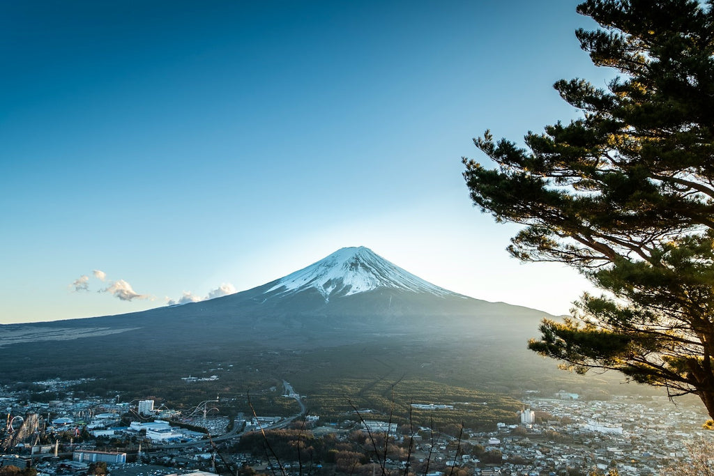 Image Banner