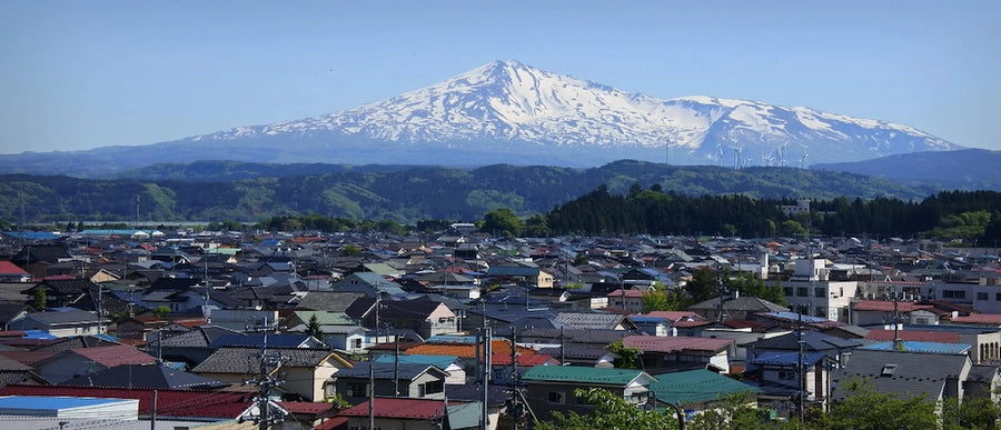 Yurihonjo City Travel Guide